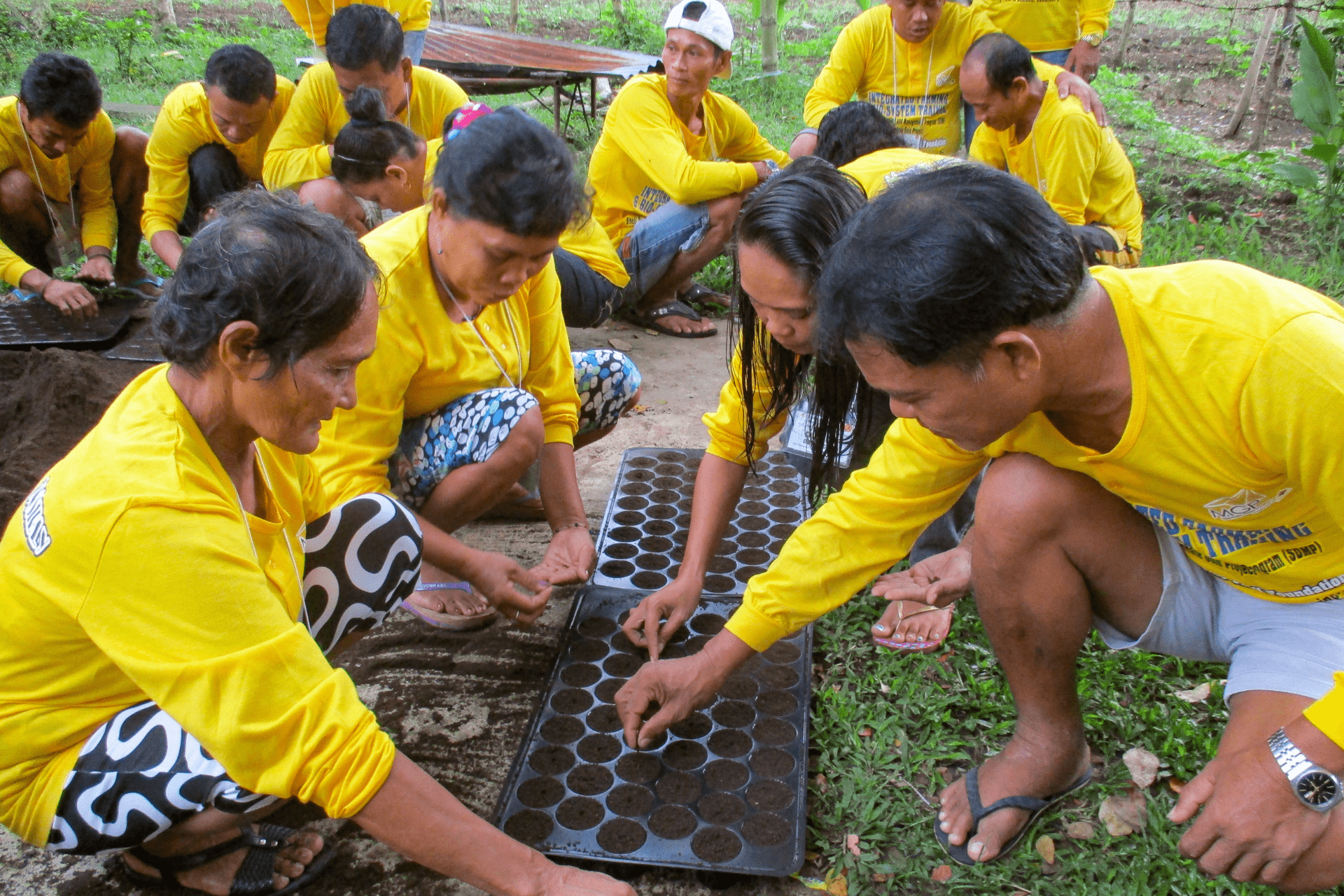 Toward Sustainable Development: Community Cooperatives at Ticao, Philippines - Feature Image