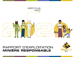 Mali Report (French)